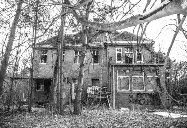 Foreclosed properties